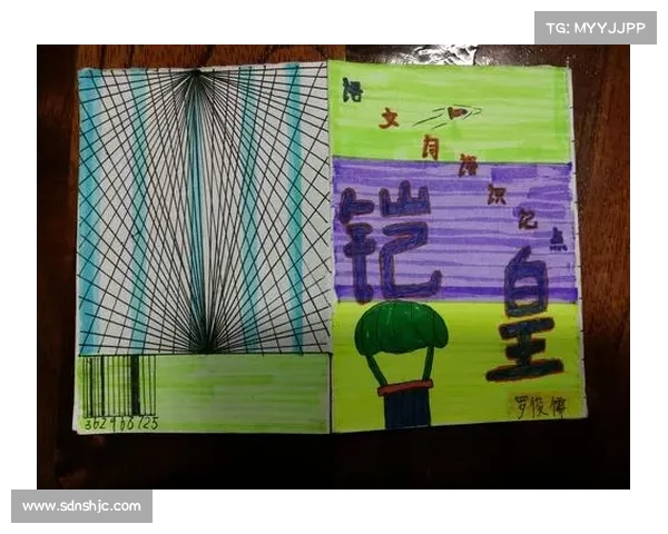 巴舒亚伊的母语及其语言背景探析