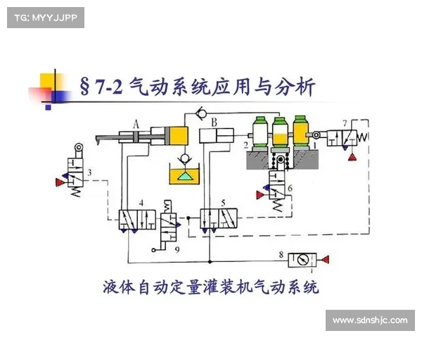 建业俱乐部组织性质定位与功能作用的深入研究与系统分析